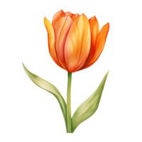 orange tulpan blomma ai genererad png