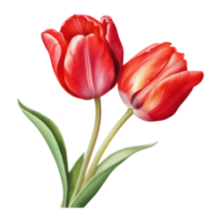 rouge tulipe fleur ai généré png