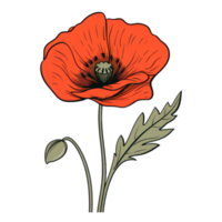 Blooming Poppy Flower AI Generated png