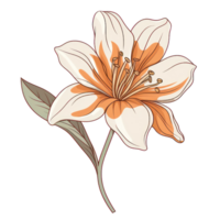 Blooming Fall Flower AI Generated png