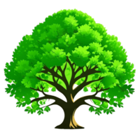 grande árbol, alto trompa, ancho hojas png