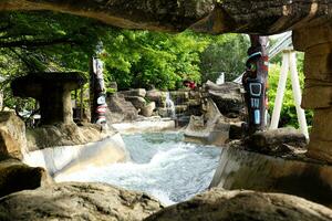 waterfall river jungle in the adventure amusement park photo