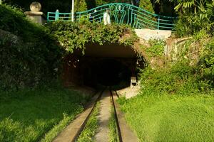 antiguo ferrocarril debajo el puente en bosque parque foto