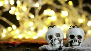 two skulls with spider webs on a table with a light background video