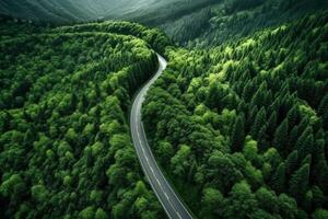 aéreo ver de el devanado la carretera mediante el verde bosque en verano foto