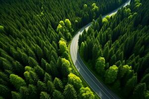 aéreo ver de el devanado la carretera mediante el verde bosque en verano foto