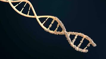 Genetic symptoms and genetic disorders, cancer cells on DNA video