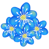 blommor Färg natur png