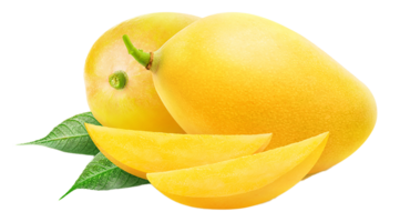 mango fruit tropical transparent png