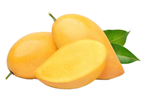 mango fruit tropical transparent png