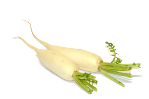 blanco rábano vegetal sano png