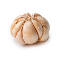 Single fresh white garlic bulb isolated with clipping path and shadow in png file format, Thai herb is great for healing several severe diseases, heart attact, Hyperlipidemia