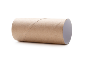 single lying tissue paper roll core isolated with clipping path and shadow in png file format