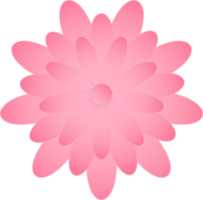 Flower, Element of floral paper cut. Paper cut of flower shape and spring symbol. png