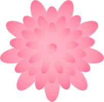 Flower, Element of floral paper cut. Paper cut of flower shape and spring symbol. png