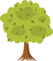 arbre illustration avec feuilles. arbre avec épais feuillage. gratuit png