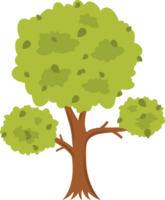 Baum Illustration mit Blätter. Baum mit dick Laub. kostenlos png