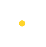 blomma illustration. färgad blomma kluster png