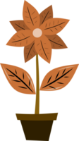 flower illustration in pot. colored flower. free png