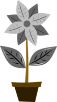 flower illustration in pot. colored flower. free png