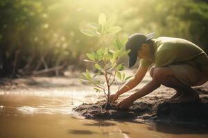 Restoring the Coastline Community Engagement in Planting Mangroves for Environment Conservation and Habitat Restoration on Earth Day, Promoting Sustainability. Earth day photo