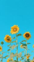 Sunflower Dreams Delightful Blend of Yellow and Sky Blue in a Minimalist Style photo