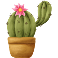 The cactus has green spikes. Designed for digital use, design, web design, reports, worksheets, templates. png