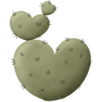 The cactus has green spikes. Designed for digital use, design, web design, reports, worksheets, templates. png