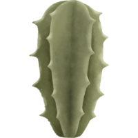 il cactus ha verde picchi. progettato per digitale uso, disegno, ragnatela disegno, rapporti, fogli di lavoro, modelli. png