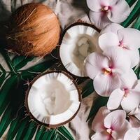 Coconut Slices with Leaves and Flowers for Summer Aesthetic photo