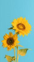 Sunflower Dreams Delightful Blend of Yellow and Sky Blue in a Minimalist Style photo
