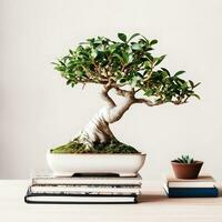 Bonsai Bliss Beginner's Handbook with Captivating White Background Photograph of Ficus Bonsai photo