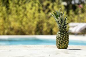 Pineapple on the edge of a swimming pool. photo