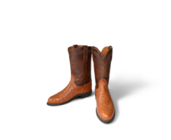 cowboy boots PNG transparent