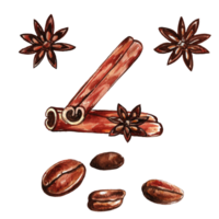 Watercolor painted coffee beans png