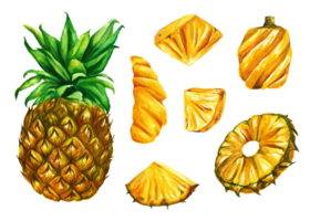 Watercolor painted pineapple, Hand drawn ripe pineapple png