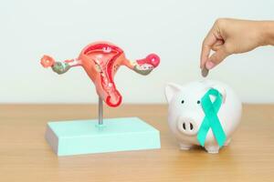 September Ovarian cancer Awareness month. Uterus model and Teal Ribbon with Piggy Bank for support illness life. Health, Donation, Charity, Campaign, Money Saving, Fund and World cancer day concept photo