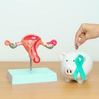 September Ovarian cancer Awareness month. Uterus model and Teal Ribbon with Piggy Bank for support illness life. Health, Donation, Charity, Campaign, Money Saving, Fund and World cancer day concept photo