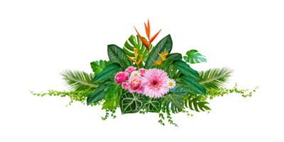 Cluster of bouquets and tropical jungle leaves and vines on white background. Isolate on transparent background PNG file.