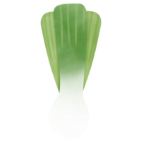 Drawing of green spring onions isolated on transparent background for usage as an illustration, food, vegetables and eating concept png