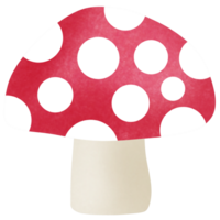 Drawing of mushroom isolated on transparent background for usage as an illustration, food, fruits and plant concept png
