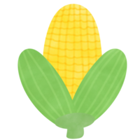 Drawing of corn isolated on transparent background for usage as an illustration, food, fruits and eating concept png