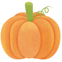 Drawing of pumpkin isolated on transparent background for usage as an illustration, food and eating concept png