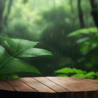 Product podium with monsoon rain forest with wooden disc background photo