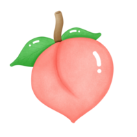 Fresh Juicy Peach png