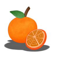 vibrant agrumes, une tranche de Soleil embrassé Orange png