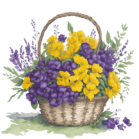 Ai Generated, Watercolor Basket Flower, Basket Flower, Watercolor png