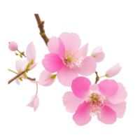 ai genererad, vattenfärg blomma, blommig vattenfärg, vattenfärg blomma ClipArt png