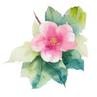 ai genererad, vattenfärg blomma, blommig vattenfärg, vattenfärg blomma ClipArt png