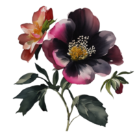 ai generado, acuarela flor, acuarela floral diseño, acuarela clipart flor, acuarela png